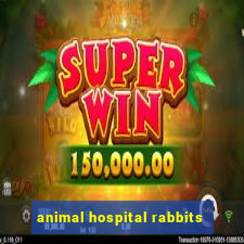 animal hospital rabbits